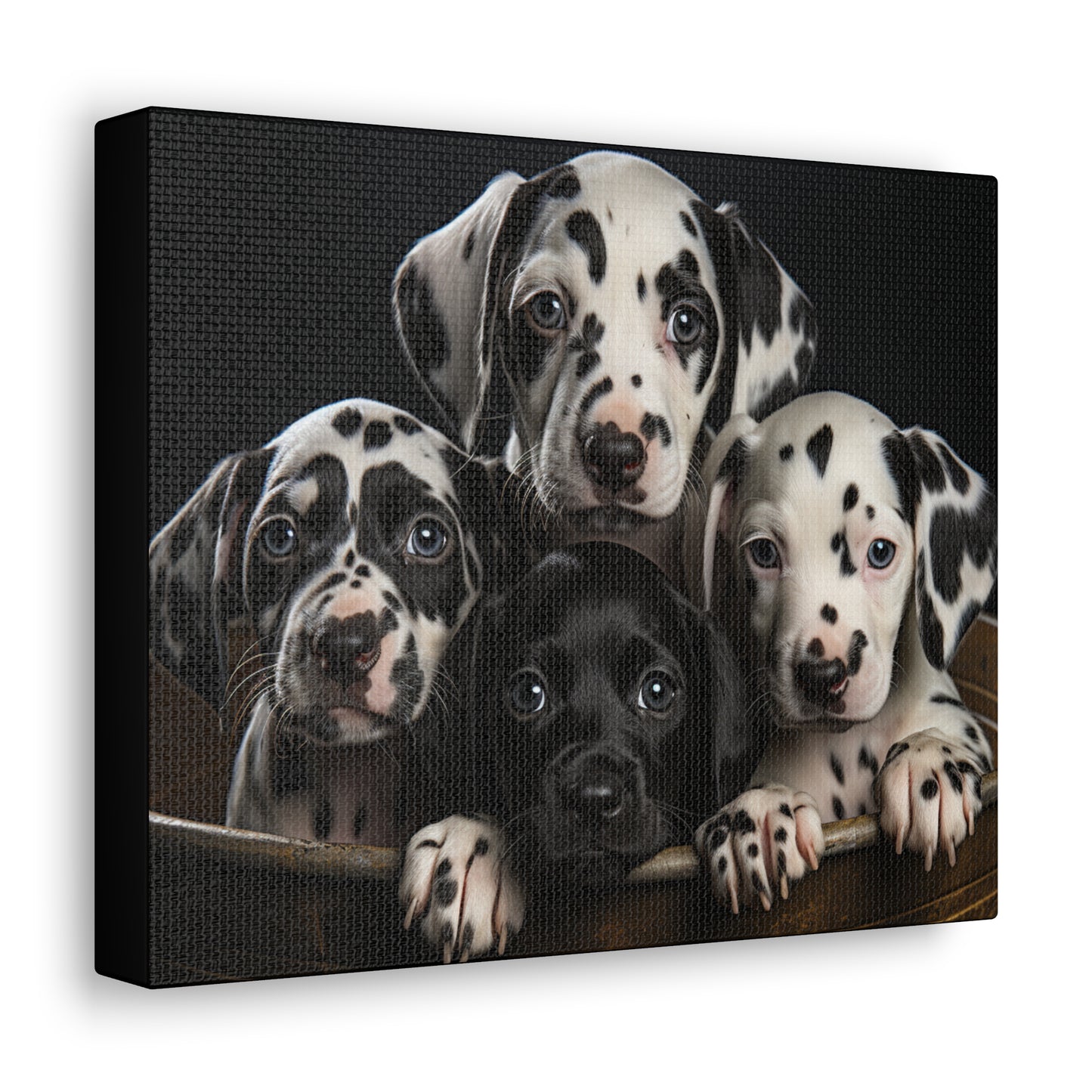 Dalmatian Puppies Canvas Gallery Wraps